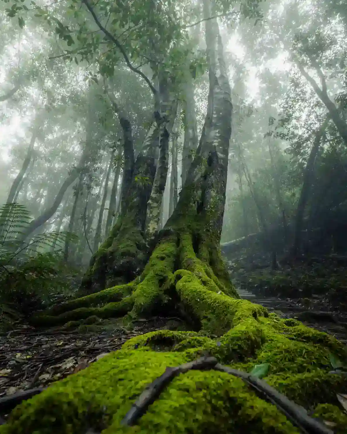 Rafting group posing with arms spread on turquoise Kali River in Dandeli