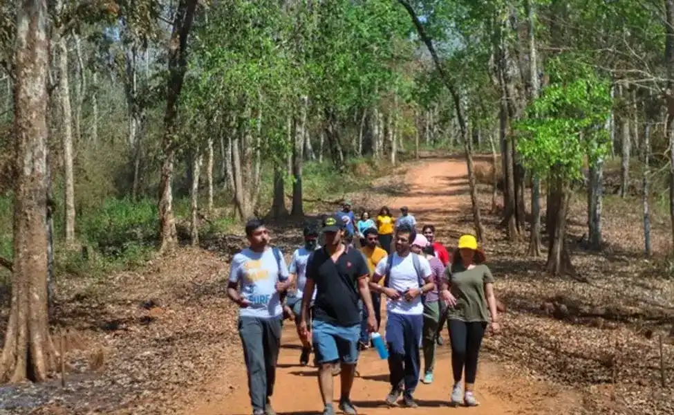Trekking in Dandeli - Nature Trails & Hikes Forest trekking through dense Western Ghats trails in Dandeli Wildlife Sanctuary