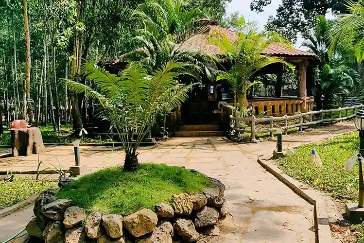 Beautiful landscaped gardens and natural surroundings at Dew Drops Resort