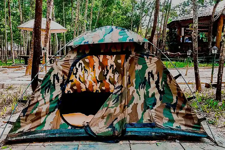 Stunning nature view from Dew Drops Resort overlooking forest canopy