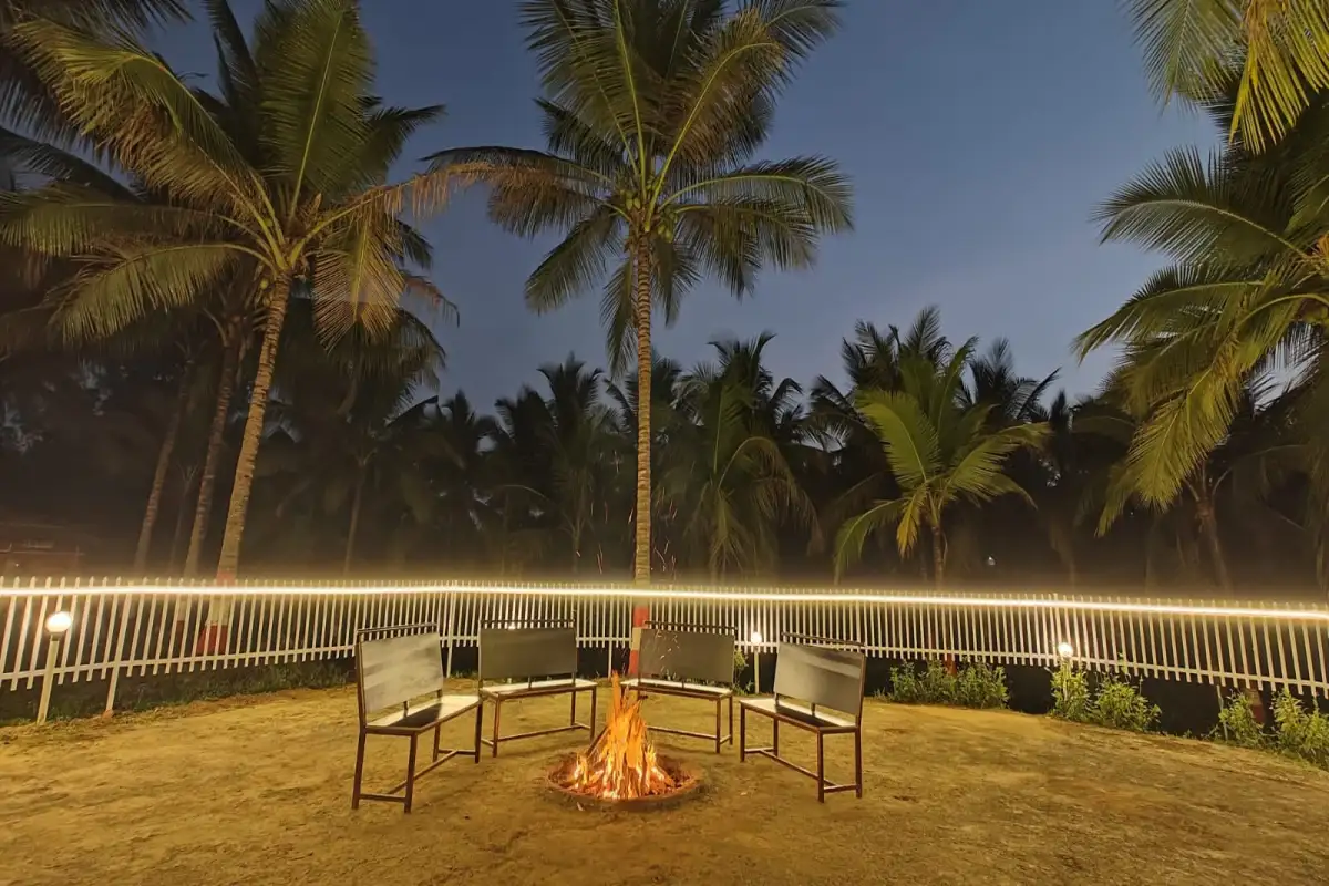 Night campfire area with seating at Wild Mist Jungle Stay for group gatherings