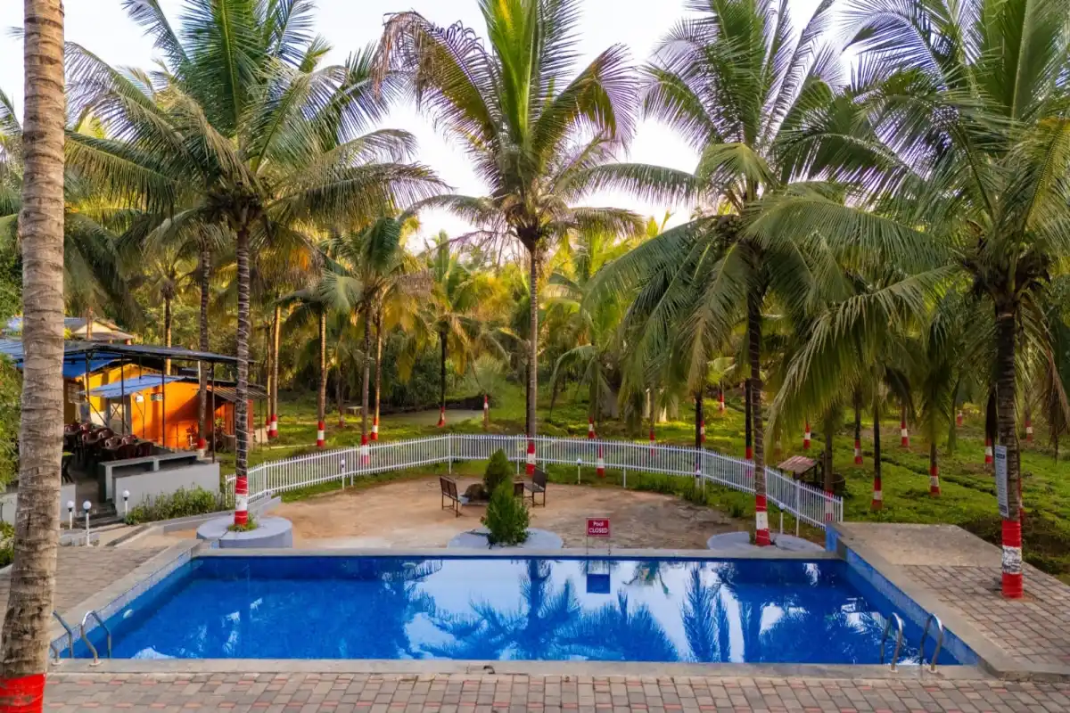 Swimming pool surrounded by lush garden at Wild Mist Jungle Stay Dandeli